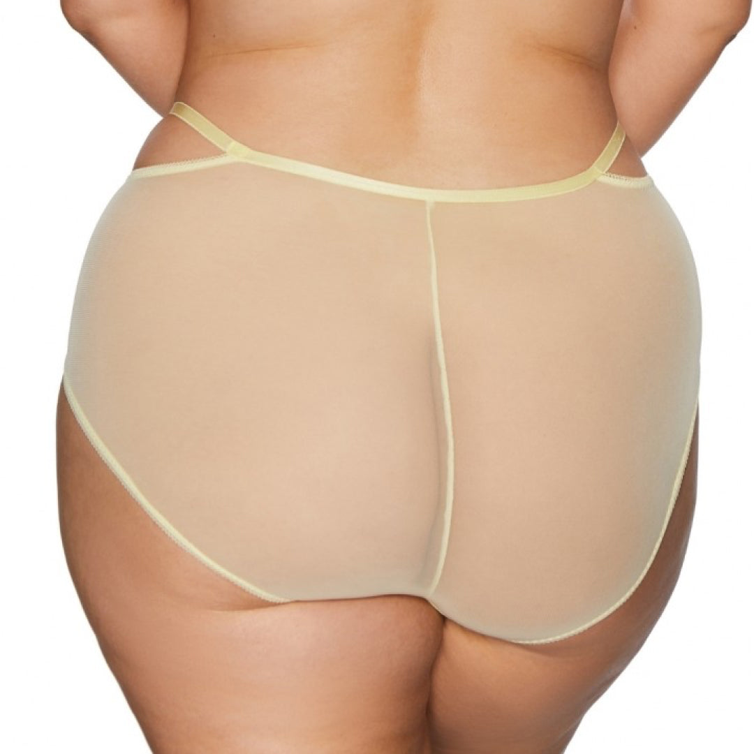 Kinga Forget Me Not Soft High Waist Tulle Brief Panty-1
