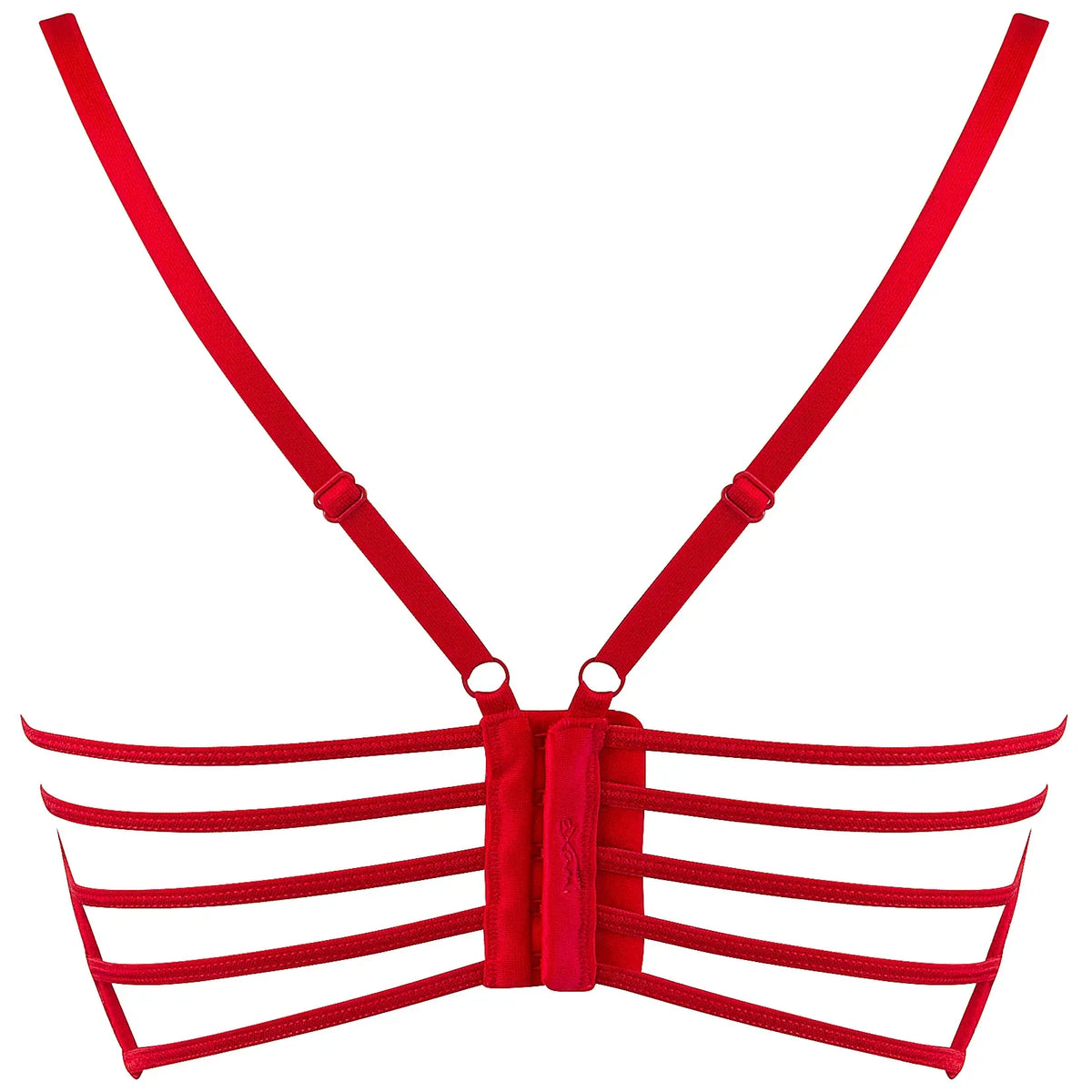 Axami Valentine Longline Plunge Sheer Lace Bra-4