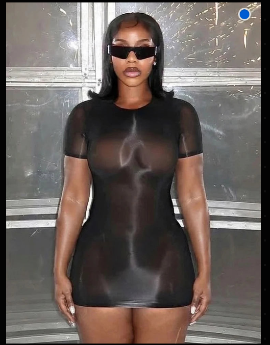 Sheer Mesh Short Sleeve Bodycon Mini Dress