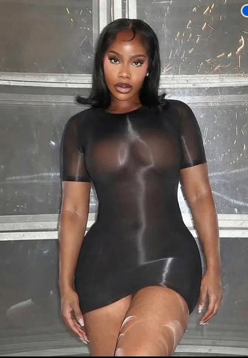 Sheer Mesh Short Sleeve Bodycon Mini Dress